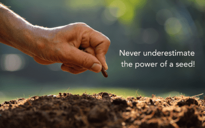 Never Underestimate the Power of a Seed