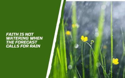 Faith Is Not Watering When The Forecast Calls For Rain